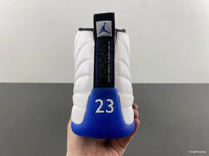 12 Air CT8013-140 Jordan Blueberry 1006